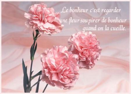La véritable amitié est pure.